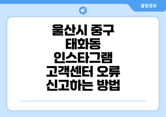 울산시 중구 태화동 인스타그램 고객센터 오류 신고하는 방법