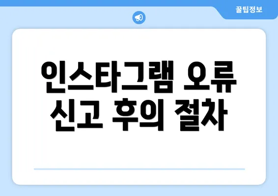 인스타그램 오류 신고 후의 절차