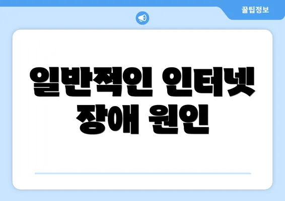 일반적인 인터넷 장애 원인