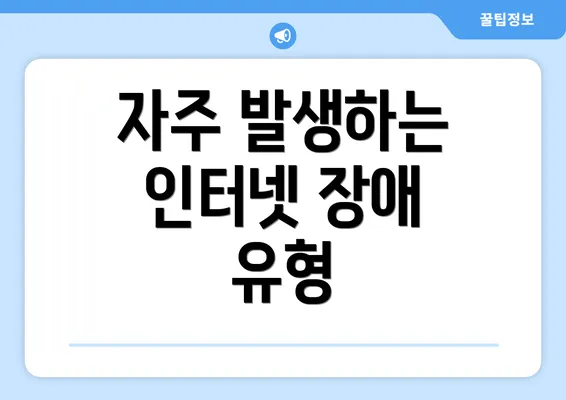 자주 발생하는 인터넷 장애 유형