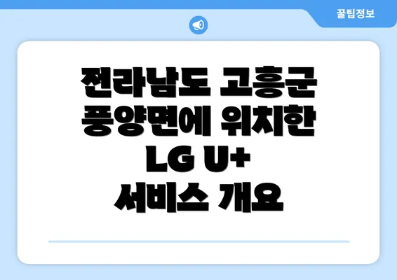 전라남도 고흥군 풍양면에 위치한 LG U+ 서비스 개요