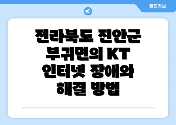 전라북도 진안군 부귀면의 KT 인터넷 장애와 해결 방법