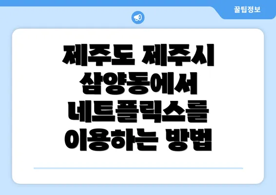 제주도 제주시 삼양동에서 네트플릭스를 이용하는 방법