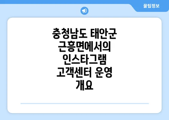 충청남도 태안군 근흥면에서의 인스타그램 고객센터 운영 개요