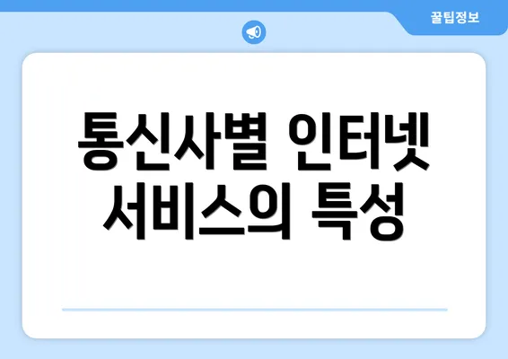 통신사별 인터넷 서비스의 특성