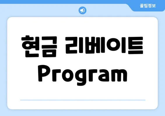 현금 리베이트 Program