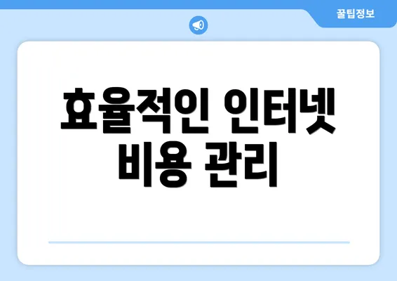 효율적인 인터넷 비용 관리