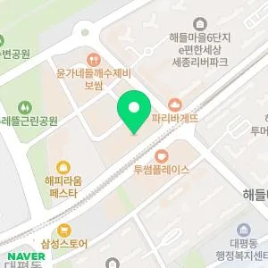 세종드림연합의원