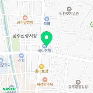 공주서울내과의원