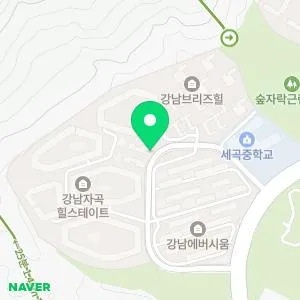 서울베스트의원