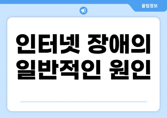 인터넷 장애의 일반적인 원인