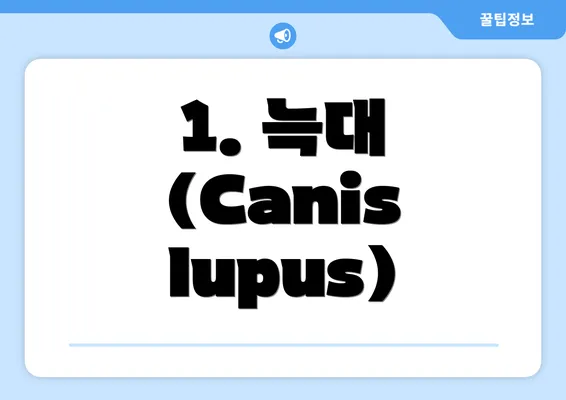 1. 늑대 (Canis lupus)