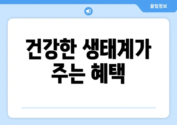 건강한 생태계가 주는 혜택