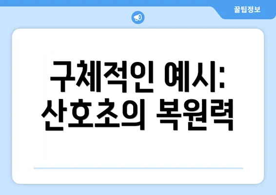 구체적인 예시: 산호초의 복원력