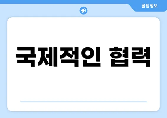 국제적인 협력