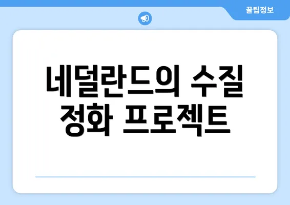 네덜란드의 수질 정화 프로젝트