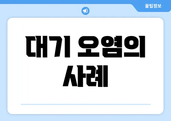 대기 오염의 사례