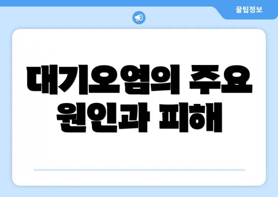 대기오염의 주요 원인과 피해