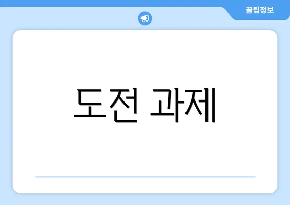 도전 과제