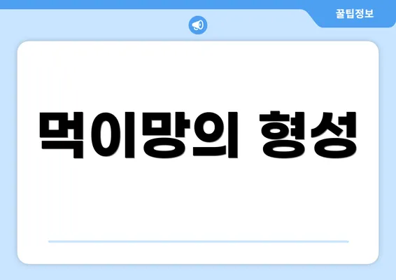 먹이망의 형성