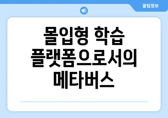 몰입형 학습 플랫폼으로서의 메타버스