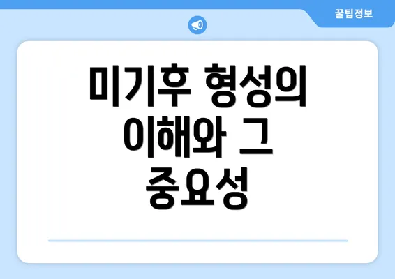 미기후 형성의 이해와 그 중요성