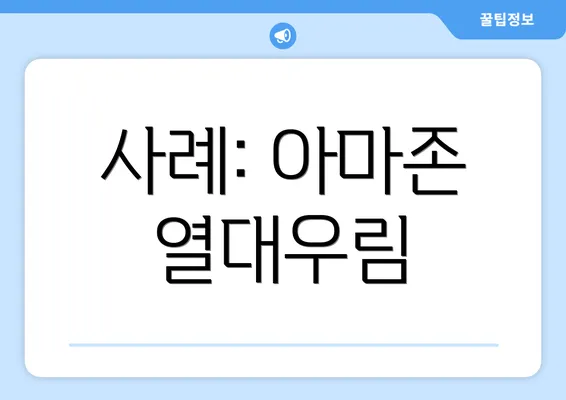 사례: 아마존 열대우림