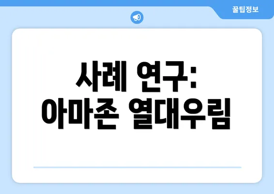 사례 연구: 아마존 열대우림