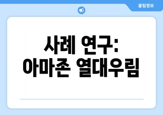 사례 연구: 아마존 열대우림