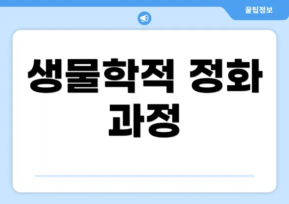 생물학적 정화 과정