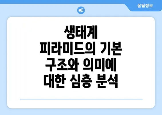 생태계 피라미드의 기본 구조와 의미에 대한 심층 분석