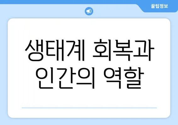 생태계 회복과 인간의 역할
