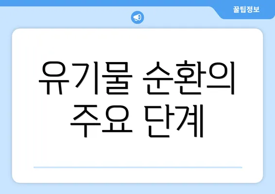 유기물 순환의 주요 단계
