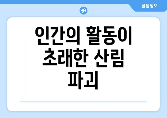 인간의 활동이 초래한 산림 파괴