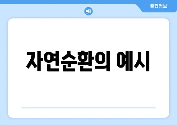 자연순환의 예시