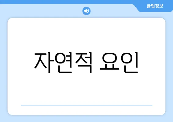 자연적 요인
