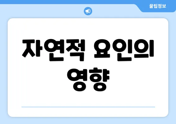 자연적 요인의 영향