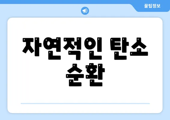 자연적인 탄소 순환