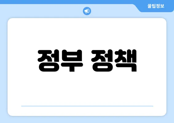 정부 정책