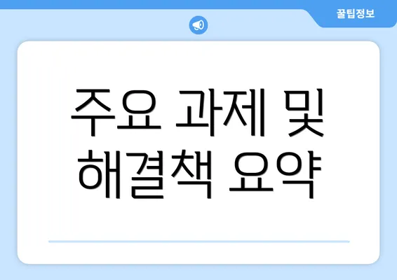 주요 과제 및 해결책 요약