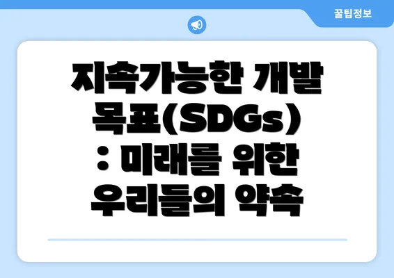 지속가능한 개발목표(SDGs): 미래를 위한 우리들의 약속