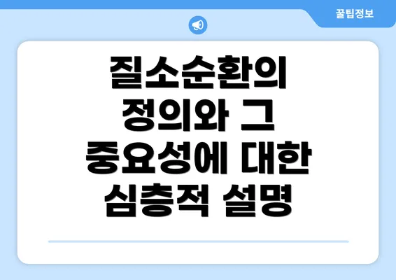 질소순환의 정의와 그 중요성에 대한 심층적 설명