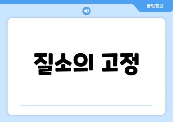 질소의 고정
