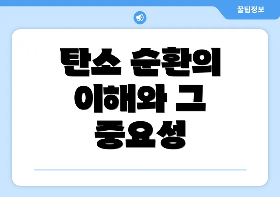 탄소 순환의 이해와 그 중요성