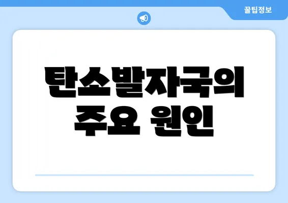 탄소발자국의 주요 원인