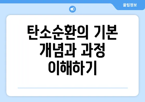 탄소순환의 기본 개념과 과정 이해하기