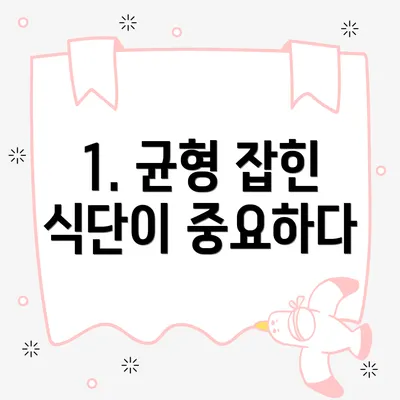 1. 균형 잡힌 식단이 중요하다
