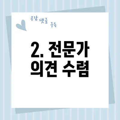2. 전문가 의견 수렴