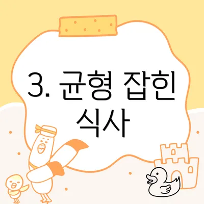 3. 균형 잡힌 식사