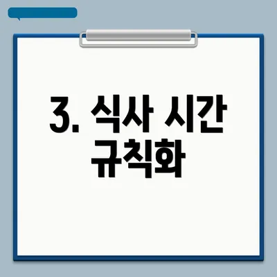 3. 식사 시간 규칙화